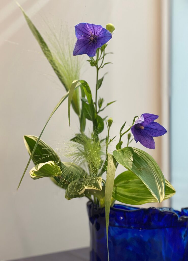 olive international patent office